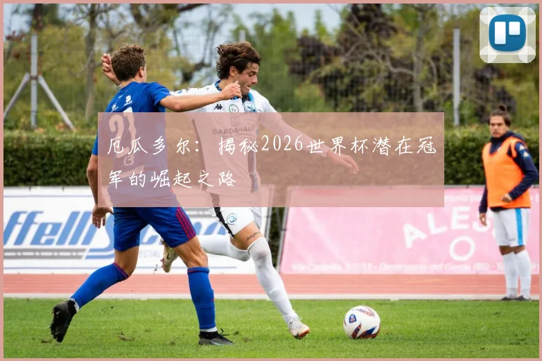 厄瓜多尔：揭秘2026世界杯潜在冠军的崛起之路